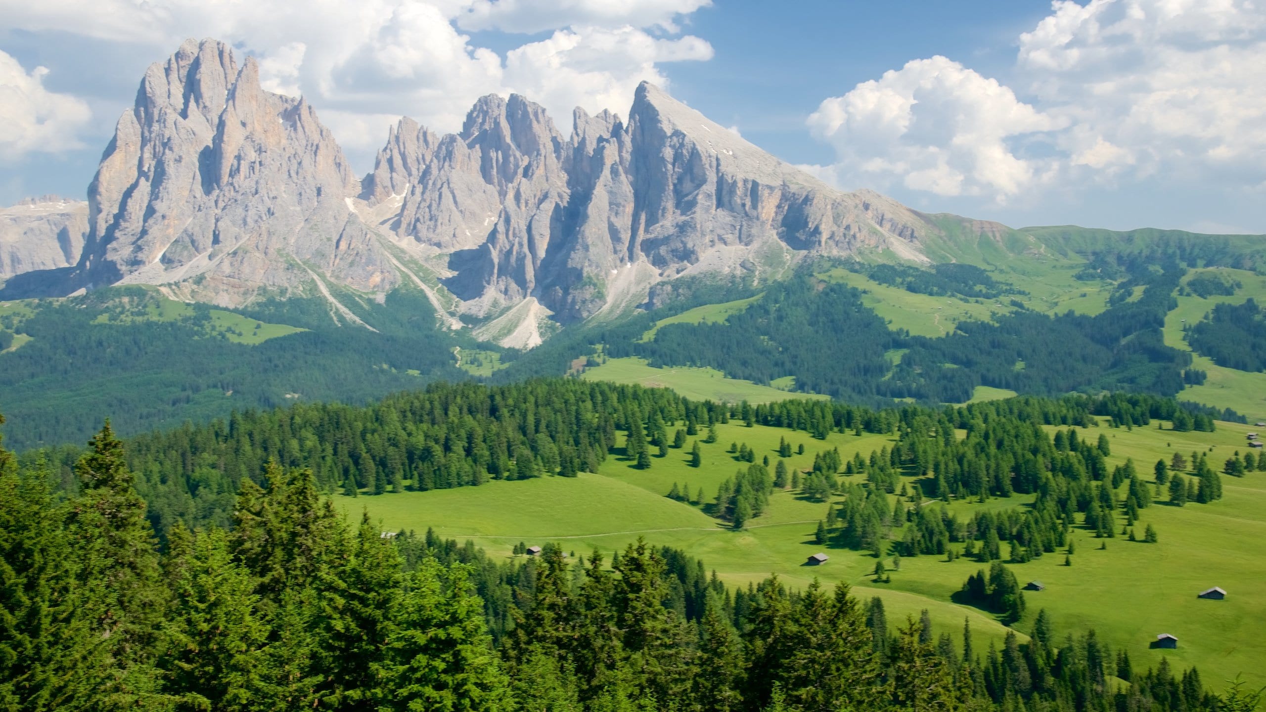 เนินเขา Alpe di Siusi